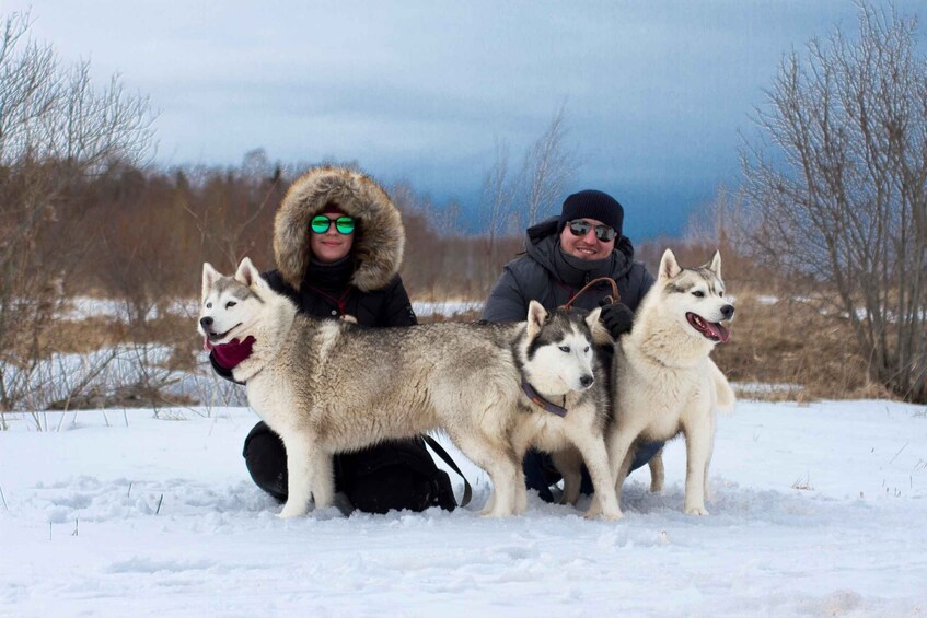 Picture 4 for Activity From Tallinn: Husky Park Tour with Cani-Cross Hike