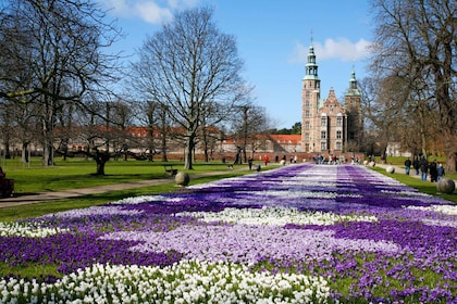 Copenhague : Tour de ville de 3 heures avec billet pour le château de Rosen...
