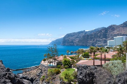 Tenerife: visite guidée de l'île d'une journée