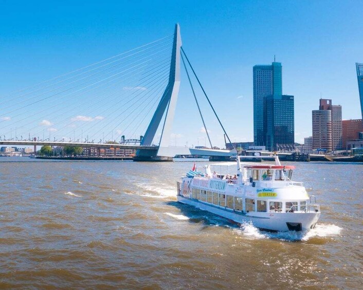 Picture 5 for Activity Rotterdam: Harbor Cruise with Live Guide