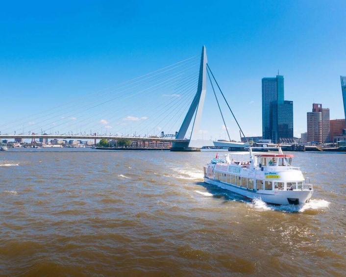 Picture 5 for Activity Rotterdam: Harbor Cruise with Live Guide