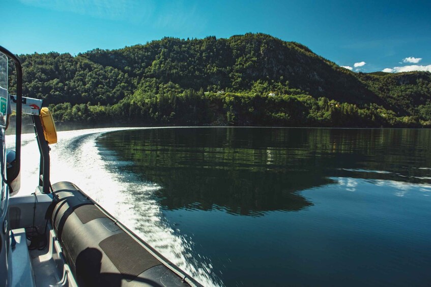 Picture 14 for Activity Øystese: Hardangerfjord RIB safari to the Fyksesund branch