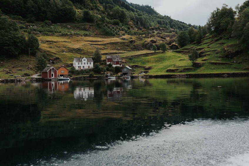 Picture 7 for Activity Øystese: Hardangerfjord RIB safari to the Fyksesund branch