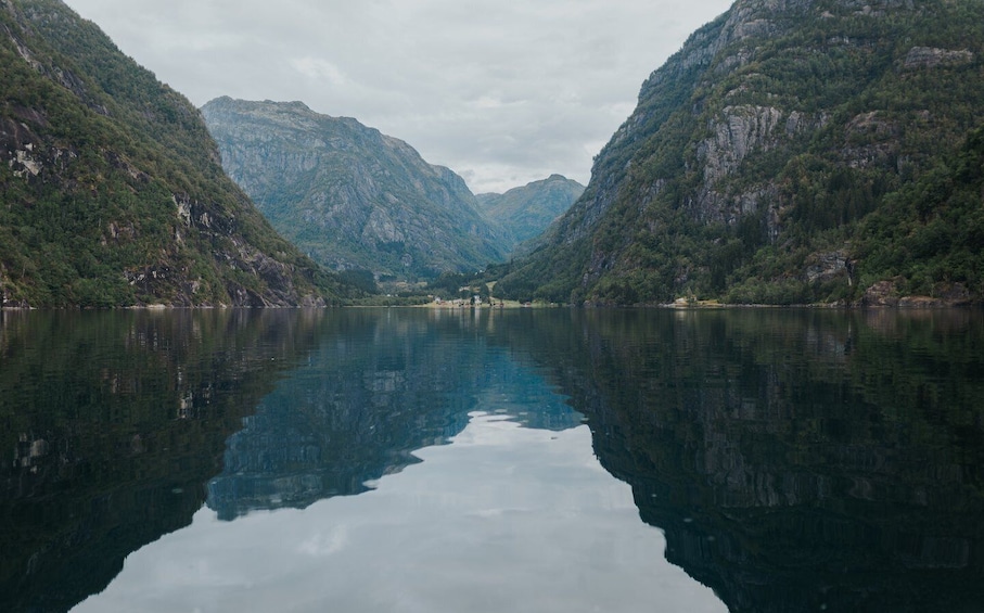 Picture 1 for Activity Øystese: Hardangerfjord RIB safari to the Fyksesund branch