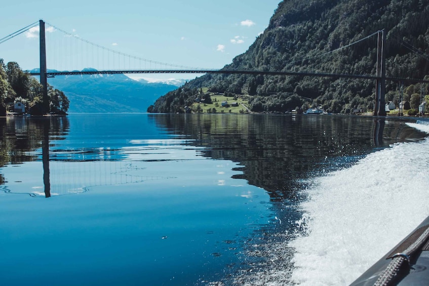 Picture 12 for Activity Øystese: Hardangerfjord RIB safari to the Fyksesund branch