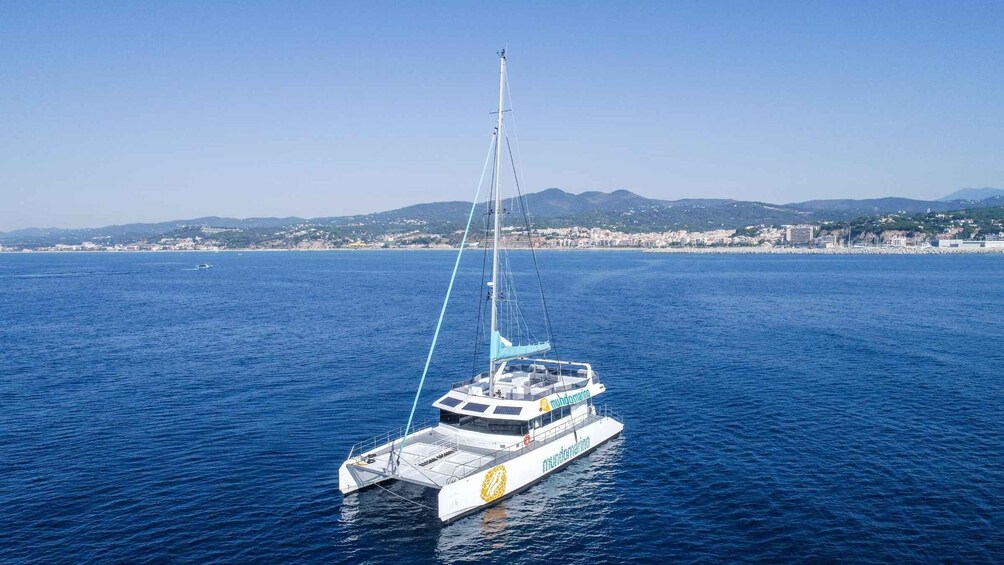 Picture 7 for Activity Malaga: Sailing Catamaran with Swimming and Paella Lunch