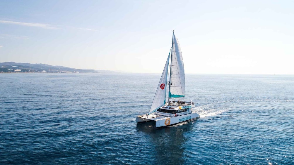 Picture 2 for Activity Malaga: Sailing Catamaran with Swimming and Paella Lunch