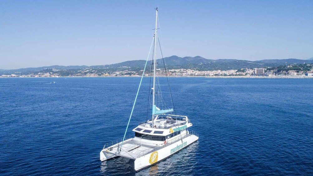 Picture 7 for Activity Malaga: Sailing Catamaran with Swimming and Paella Lunch