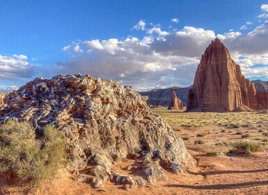 Desde Salt Lake City: recorrido privado por el parque nacional Capitol Reef