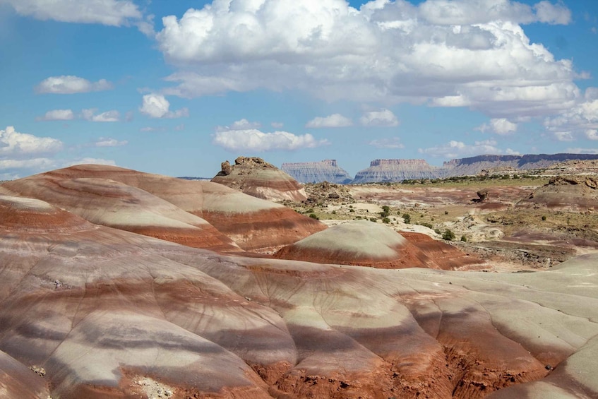 Picture 1 for Activity From Salt Lake City: Private Capitol Reef National Park Tour