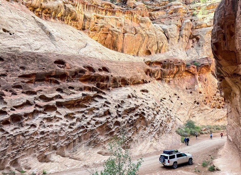 Picture 13 for Activity From Salt Lake City: Private Capitol Reef National Park Tour