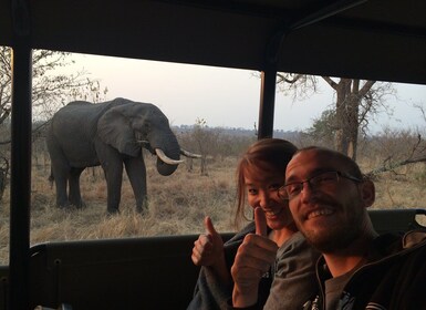 From Hazyview: Private Afternoon Game Drive