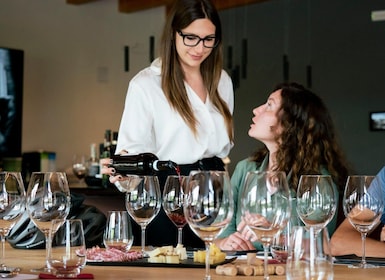 Verona: Valpolicella Wine Self-Guided E-Bike Tour & Tastings
