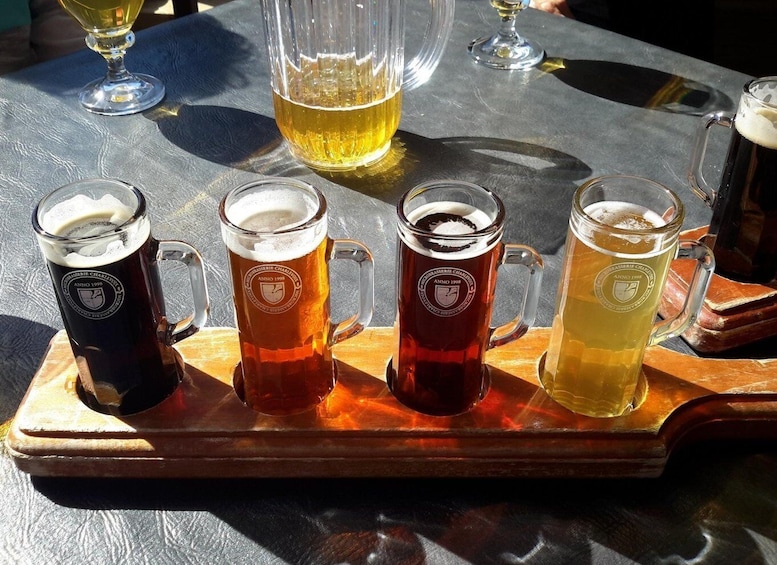 Picture 1 for Activity Gdansk: 2.5-Hour Beer Tasting Tour
