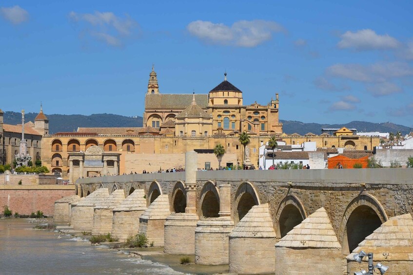 Picture 1 for Activity Córdoba: Private Walking Tour