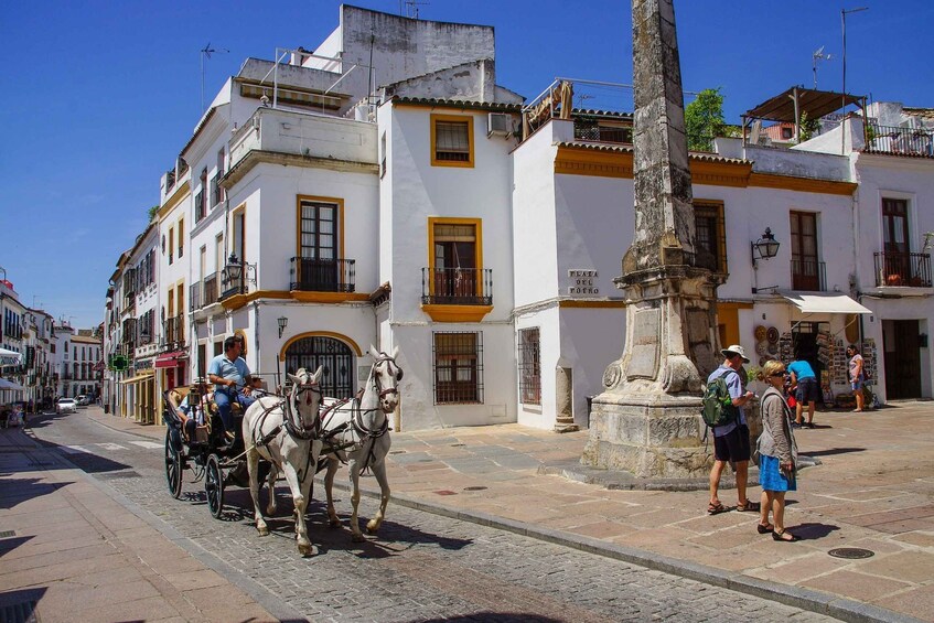 Picture 11 for Activity Córdoba: Private Walking Tour
