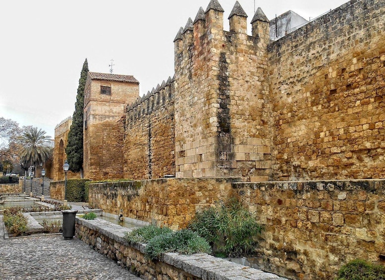 Córdoba: Private Walking Tour