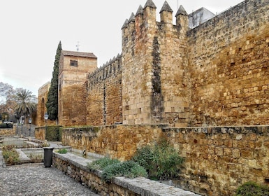 Córdoba: Tur Jalan Kaki Pribadi
