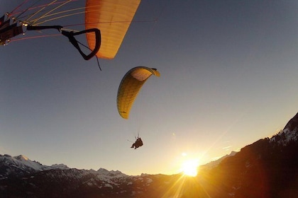 Sommer Paragliding Beatenberg in Interlaken