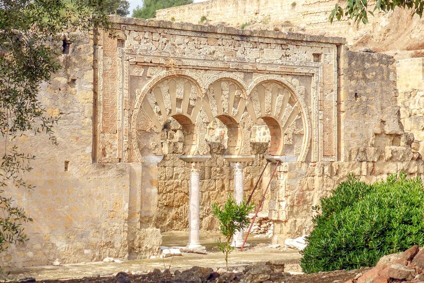 Picture 7 for Activity Córdoba: Guided Tour of Azahara Medina