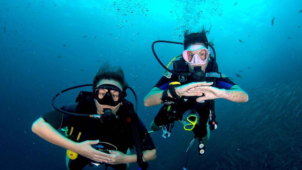 Picture 2 for Activity Ko Tao: Open Water Scuba Diving 4-Day Course