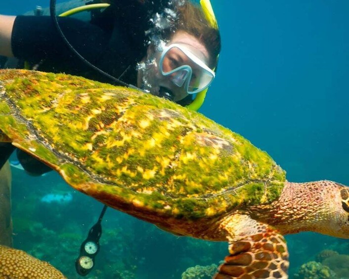 Picture 3 for Activity Ko Tao: Open Water Scuba Diving 4-Day Course