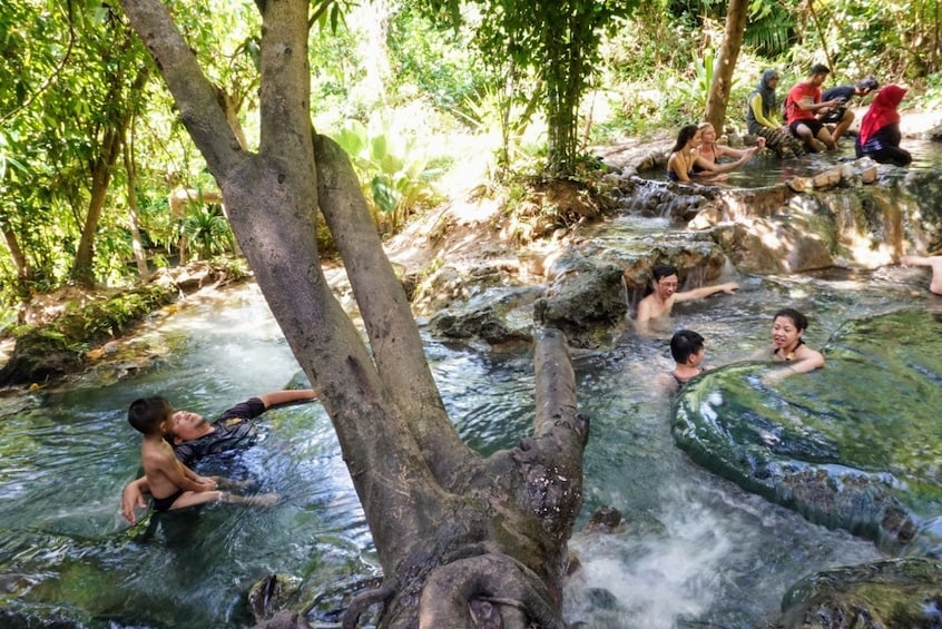 Half-Day Jungle Tour to Emerald Pool & Krabi Hot Springs