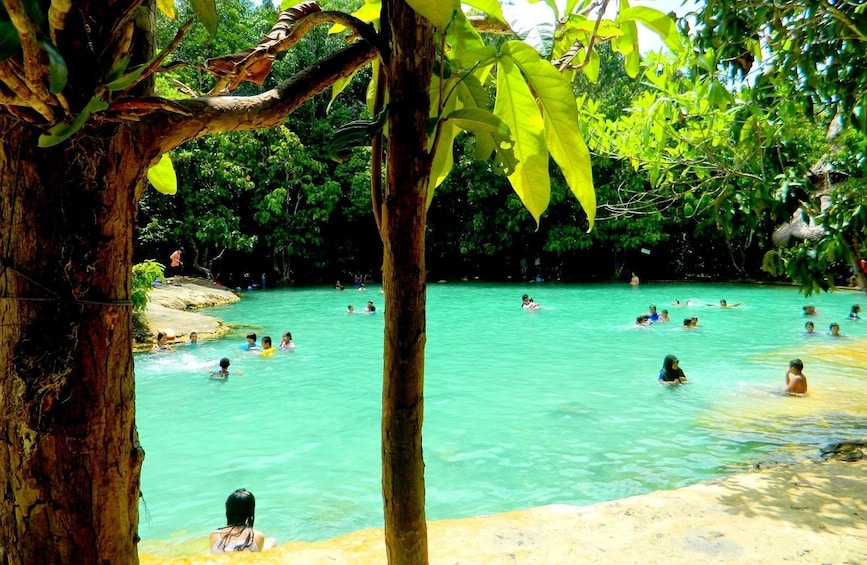 Half-Day Jungle Tour to Emerald Pool & Krabi Hot Springs