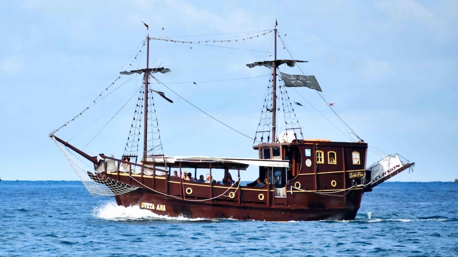 Vrsar: Dolphin Watching Boat Ride