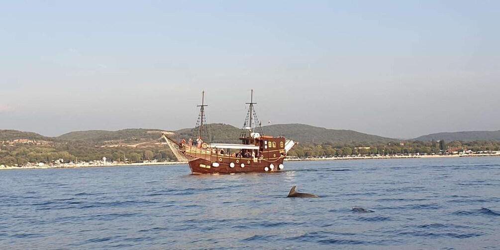 Picture 8 for Activity Vrsar: Dolphin Watching Boat Ride