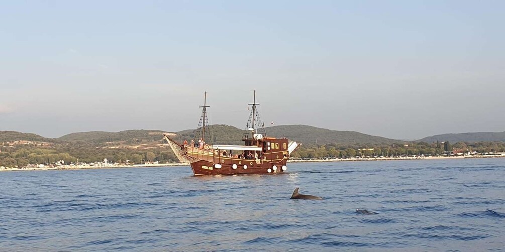 Picture 8 for Activity Vrsar: Dolphin Watching Boat Ride