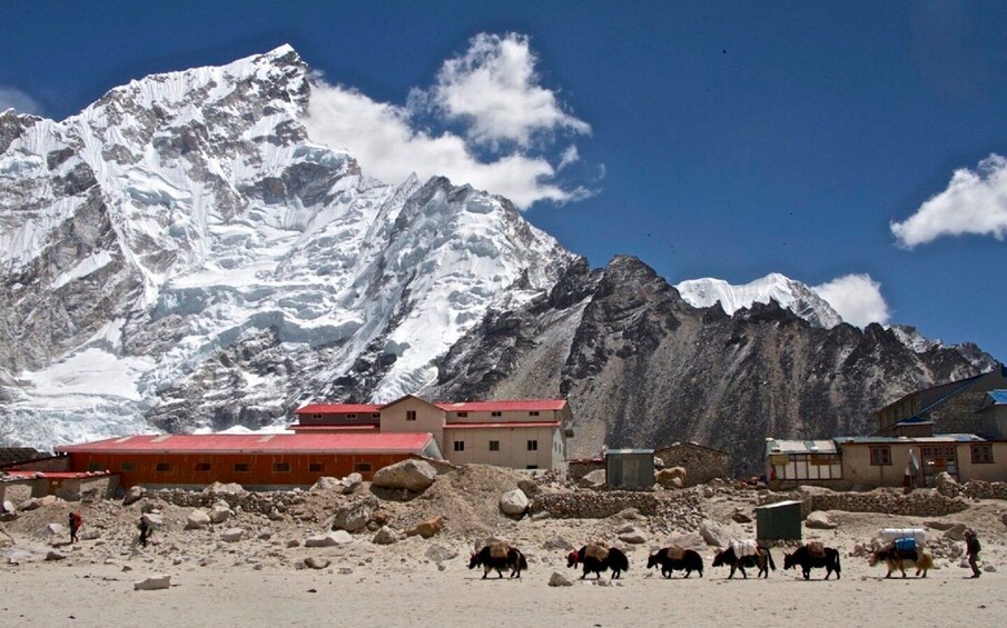 Picture 7 for Activity From KTM: 7 day Everest Base Camp Trek with Helicopter tour