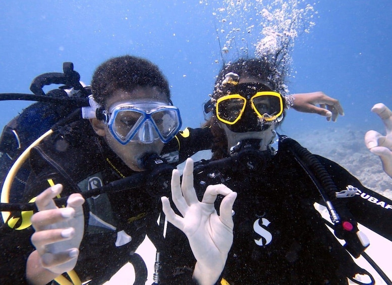 Picture 20 for Activity Mauritius: Padi Open-Water Diving Course