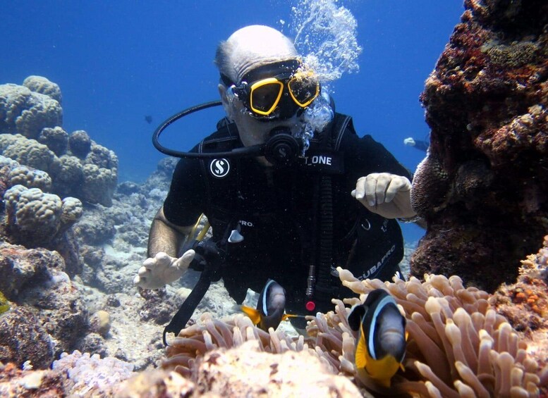 Picture 8 for Activity Mauritius: Padi Open-Water Diving Course