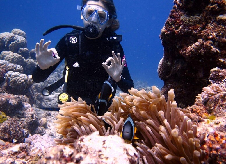 Picture 10 for Activity Mauritius: Padi Open-Water Diving Course