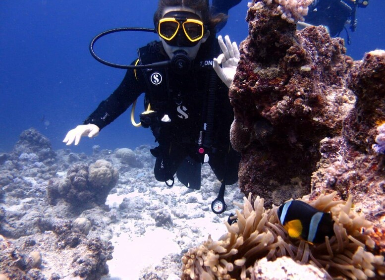 Picture 11 for Activity Mauritius: Padi Open-Water Diving Course