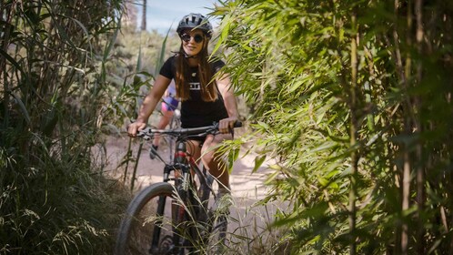 Cabo Kamenjak: Relajante excursión al atardecer en E-Bike o Bicicleta