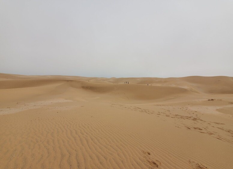 Picture 5 for Activity Agadir Sunset Sahara Desert Dunes Half Day Visit