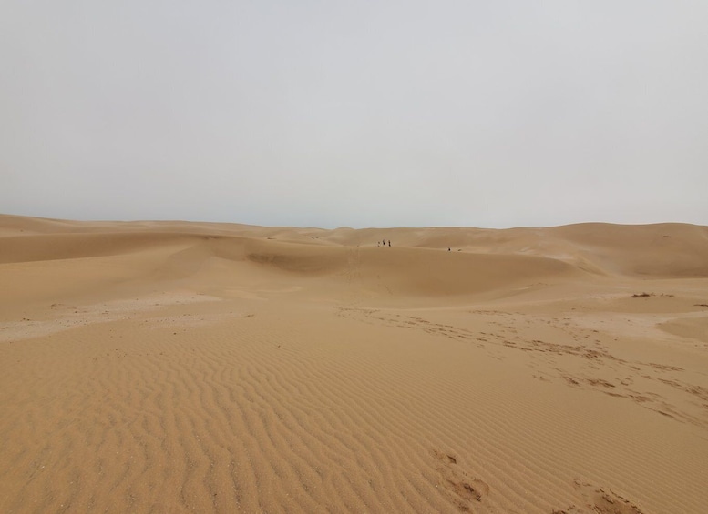 Picture 9 for Activity Agadir Sahara Desert & Camel rides Half Day Trip.