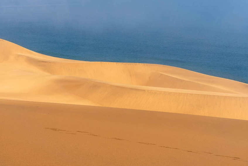 Picture 1 for Activity Agadir Sunset Sahara Desert Dunes Half Day Visit