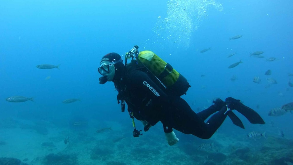 Picture 9 for Activity Tenerife: Discover Scuba Diving with Free Photos
