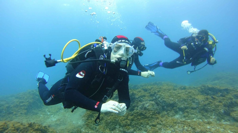 Picture 1 for Activity Tenerife: Discover Scuba Diving with Free Photos