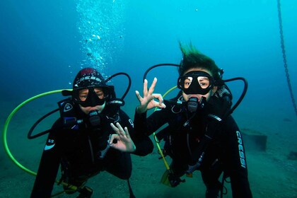 Tenerife: Discover Scuba Diving with Free Photos