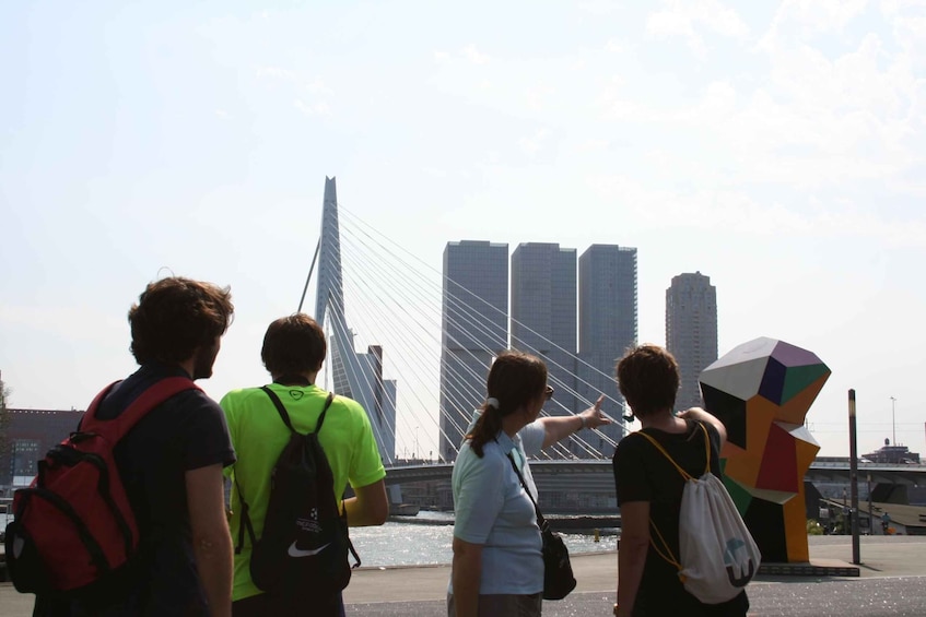 Rotterdam: Group Architecture Walking Tour Led by Architects