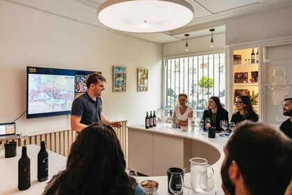 Bordeaux: Masterclass i vin med oste- og charcuteribord