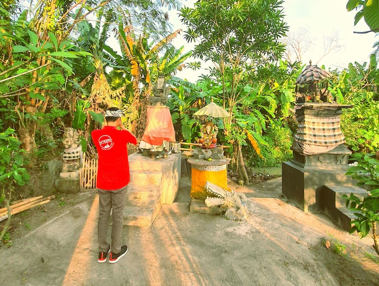 Lonely Planet Experience: Hike Through Bali's Rice Terraces