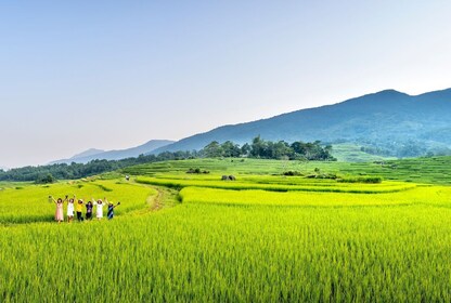 Balin pienryhmäretki piilotettuihin riisiterasseihin (Hidden Rice Terraces ...