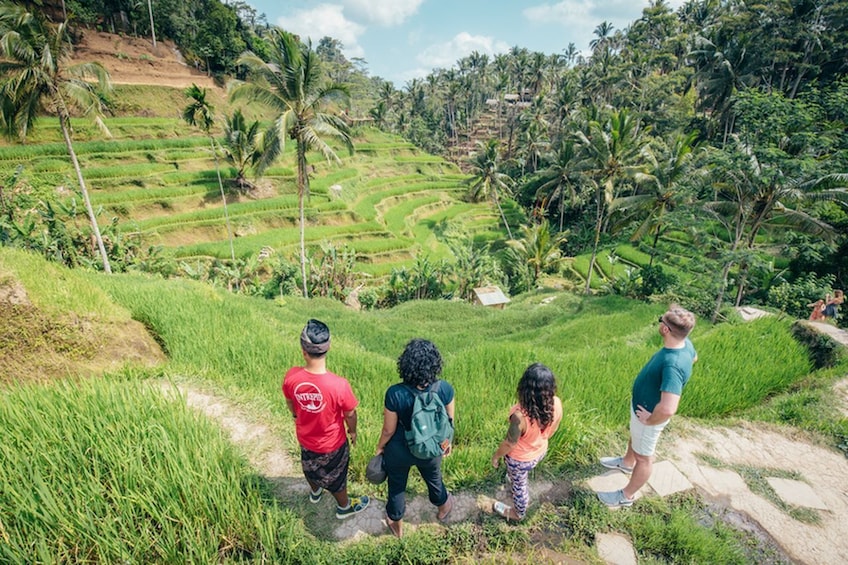 Bali's Hidden Rice Terraces Trek Tour