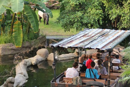 萊比錫：1 日隨上隨下巴士和萊比錫動物園門票