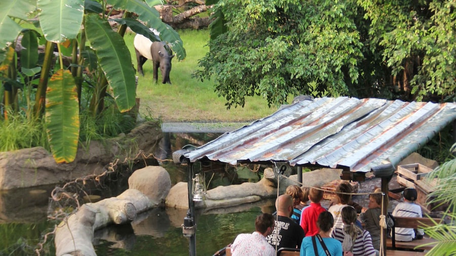 Leipzig: 1-Day Hop-On Hop-Off Bus and Leipzig Zoo Ticket